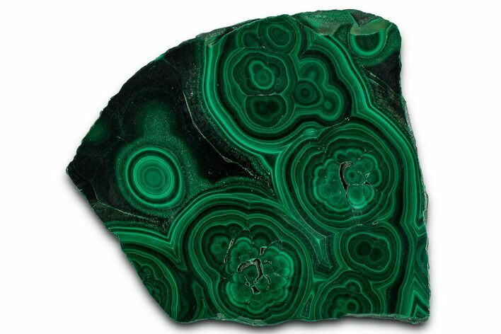 Flowery Polished Malachite Slab - DR Congo #350823